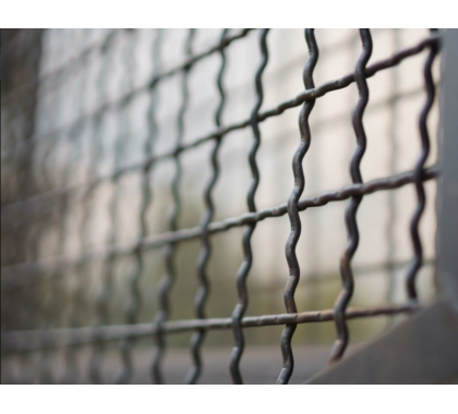 Сітка канілірована 20х20/3,00мм 1,50м/2,00м