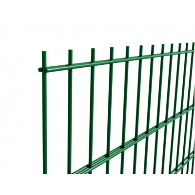 Секція "ДУОС" 200х50мм 5,00мм/4,00мм/5,00мм 1,03м/2,50м оц.+ПП RAL 6005 ЗЕЛЕНИЙ