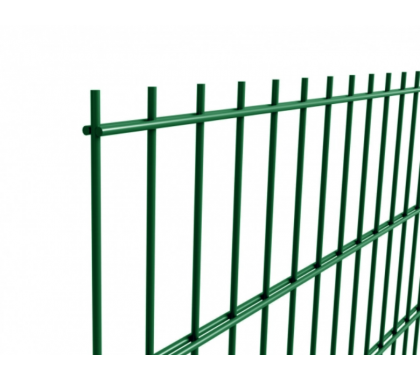 Секція ДУОС        200х50мм 6,00мм/5,00мм/6,00мм 2,03м/2,50м оц.+ПП RAL 6005 ЗЕЛЕНИЙ