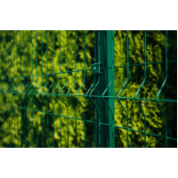 Секція  СТАНДАРТ КОЛОР 200х50мм 4,00мм/4,00мм 1,53м/2,50м оц.+ПП RAL 6005 ЗЕЛЕНИЙ (3 рифи)